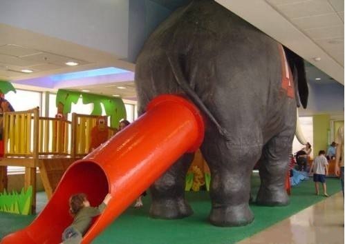 elephant_chute.jpg