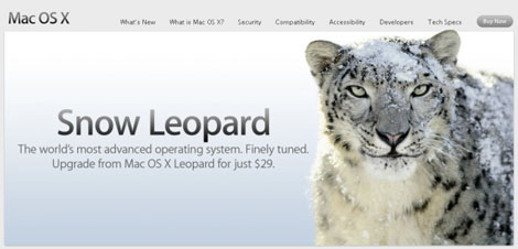 snow-leopard-470.jpg